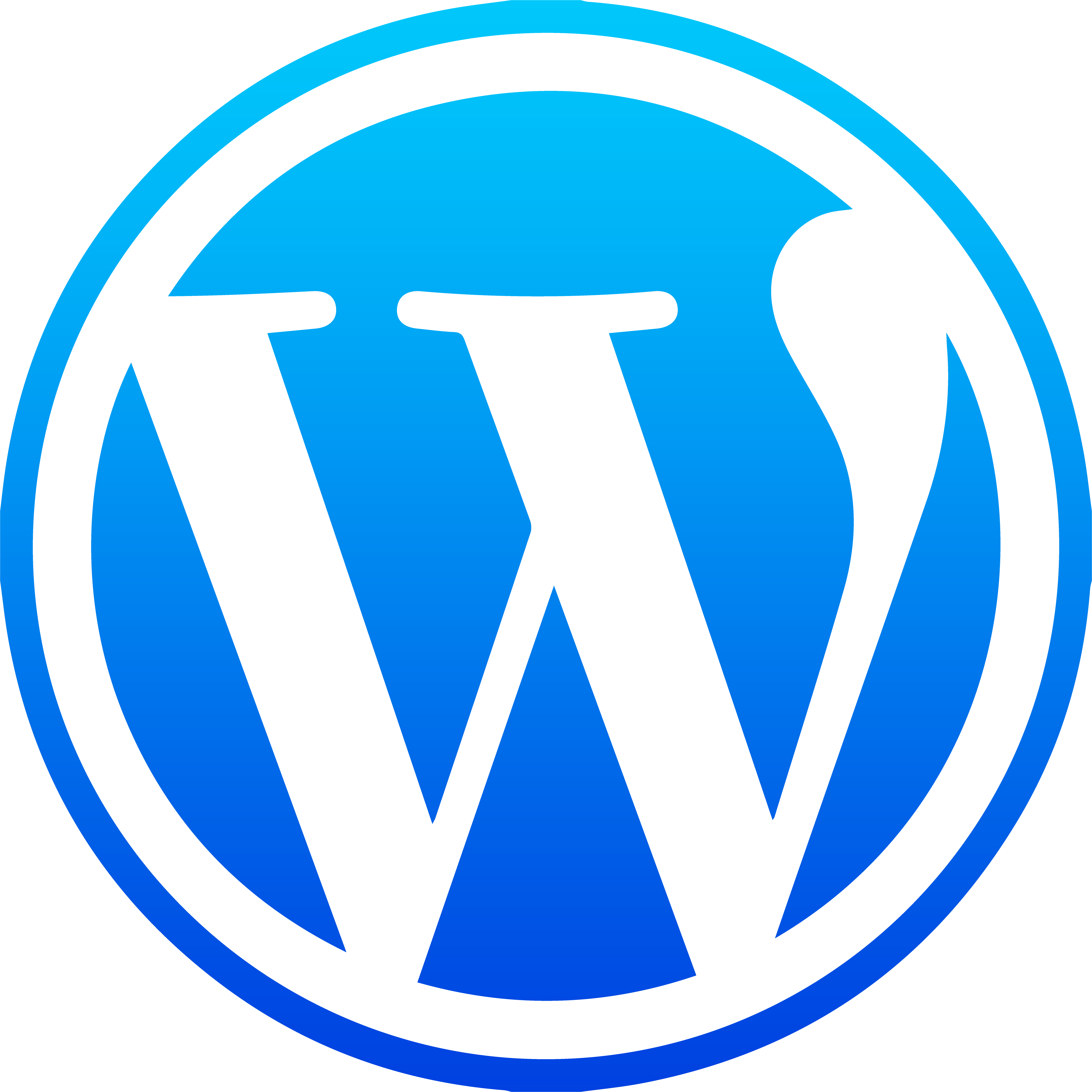 Wordpress Website Development