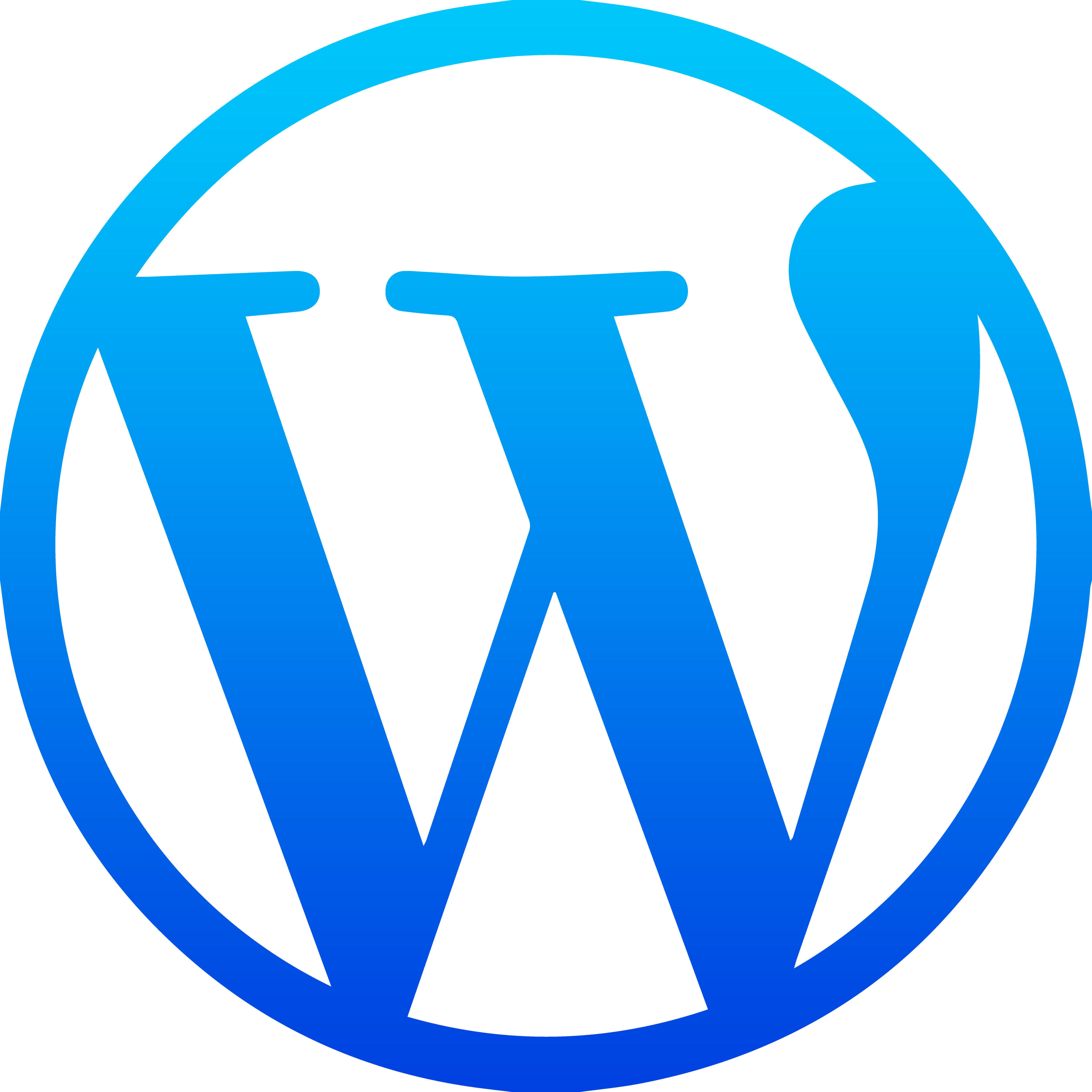 Wordpress Web Development 